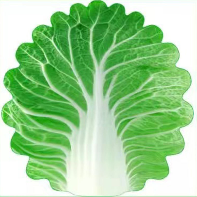 Cute Cabbage-Shaped Fleece Blanket – Fun and Cozy Throw for Naps Cute Cabbage-Shaped Fleece Blanket – Fun and Cozy Throw for Naps