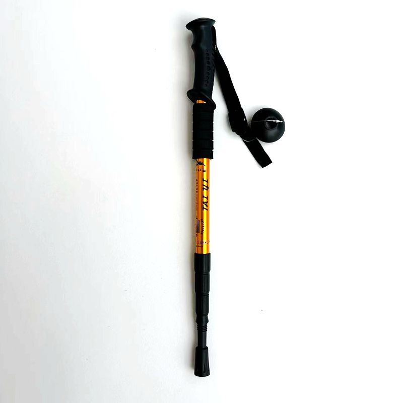 Gold 2-Pack Lightweight Trekking Poles 