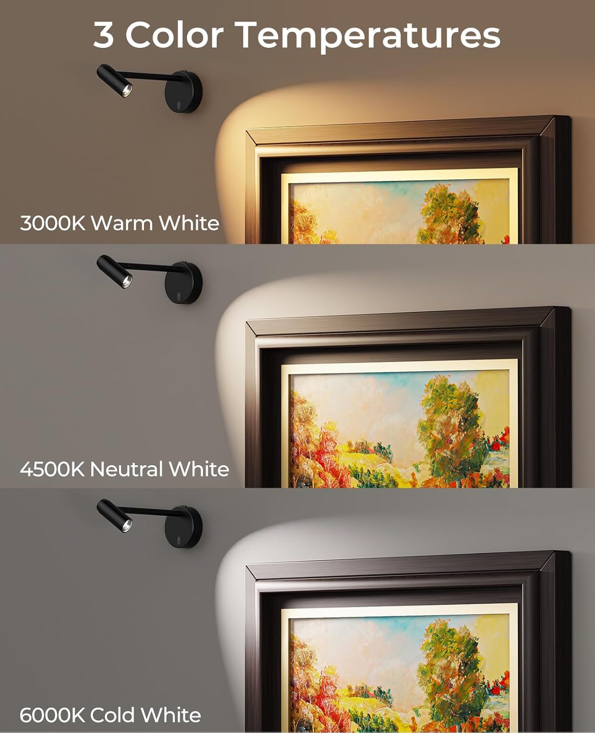 Picture Light for Wall