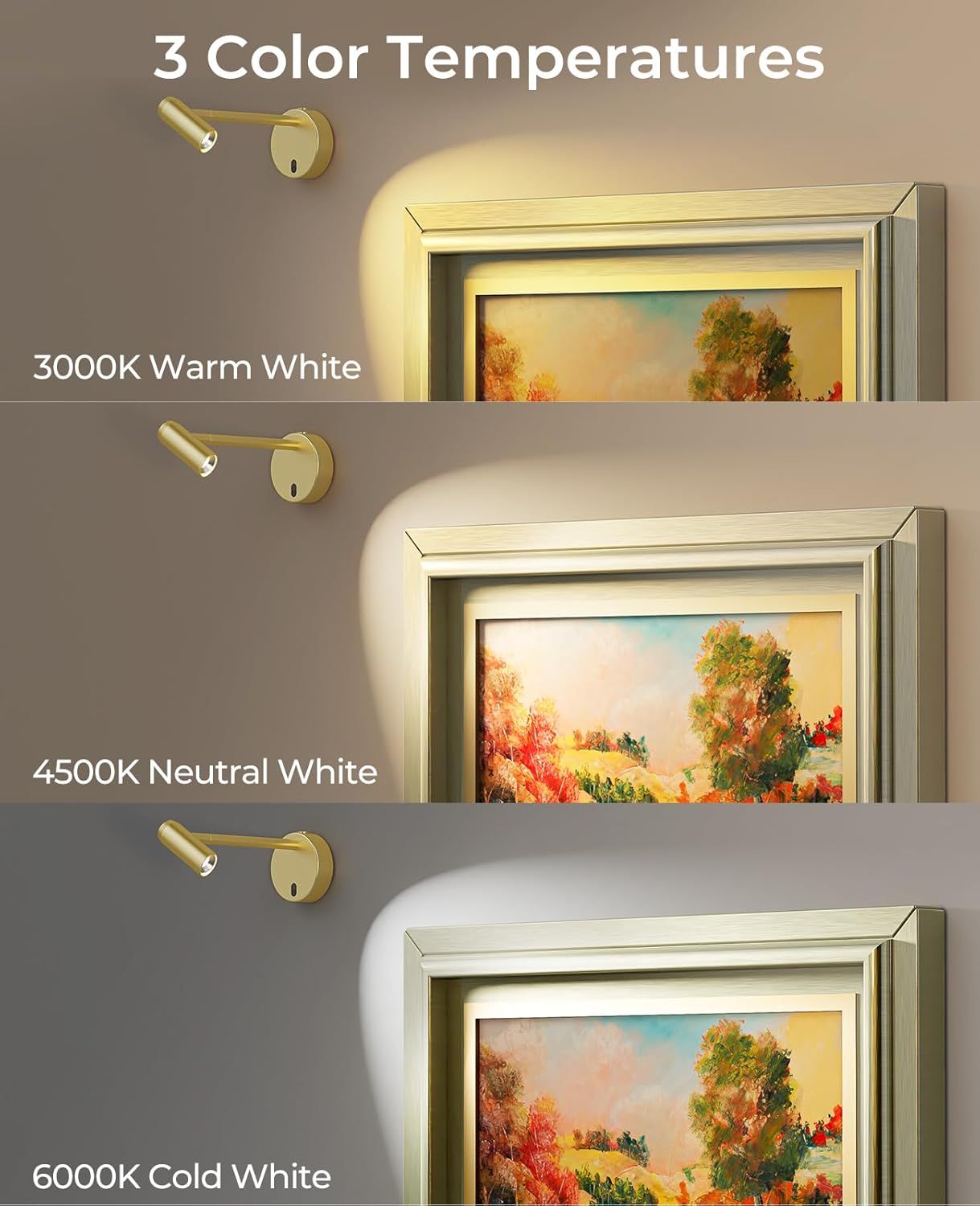 Picture Light for Wall