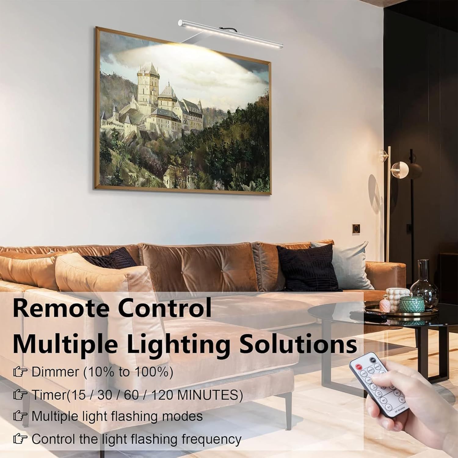 Picture Lights for Wall Plug in or Hardwired