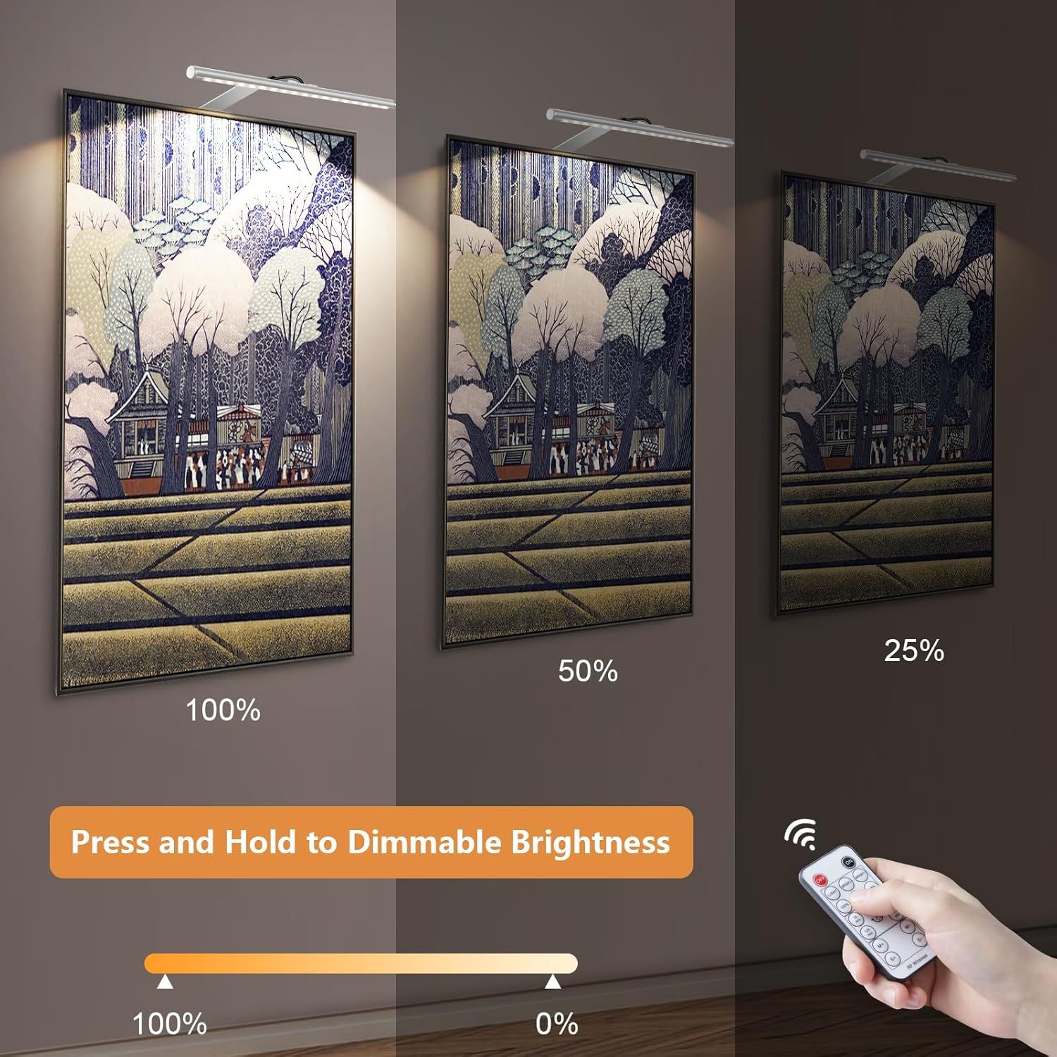 Picture Lights for Wall Plug in or Hardwired