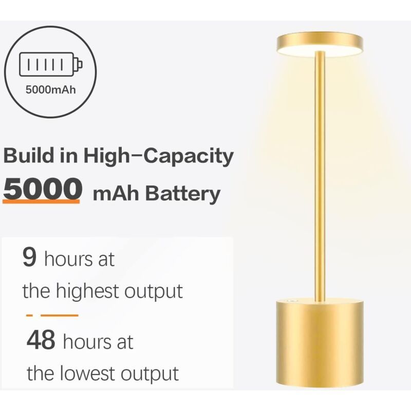 Table Lamp