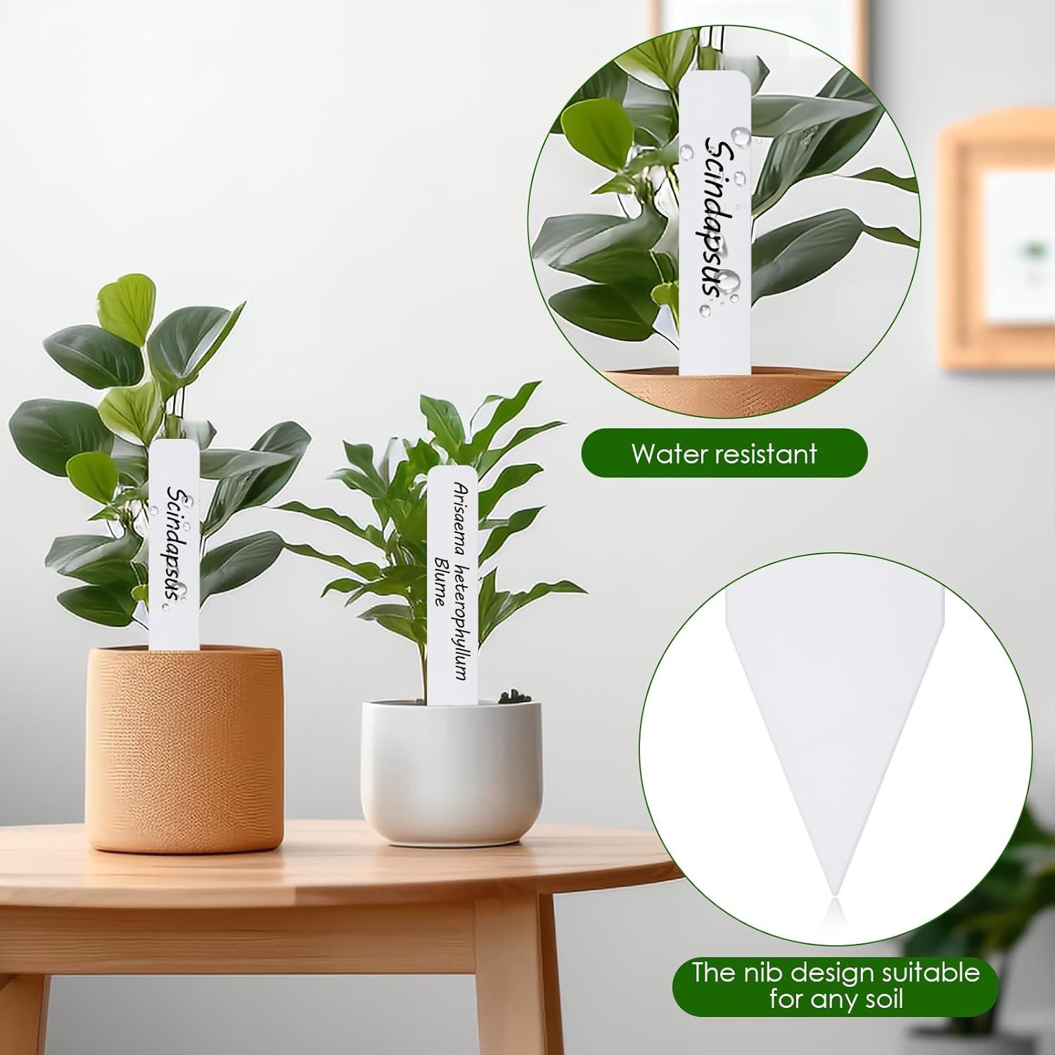 Plant Labels 120PCS