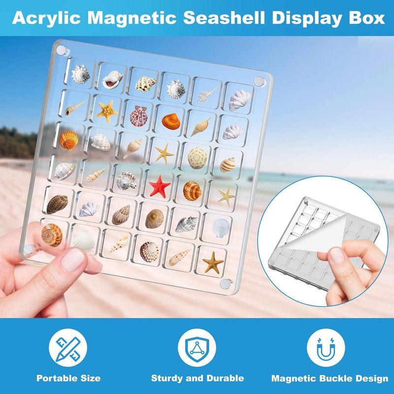 Acrylic Magnetic Seashell Display Box