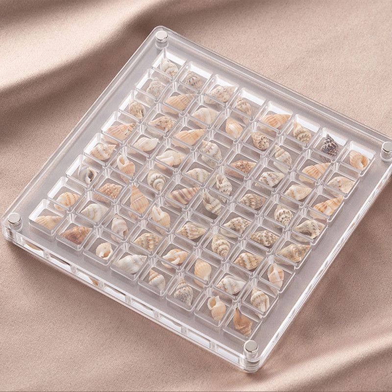 Acrylic Magnetic Seashell Display Box Acrylic Magnetic Seashell Display Box