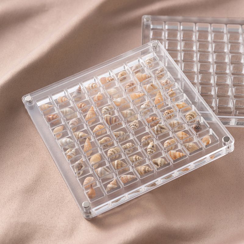 Acrylic Magnetic Seashell Display Box