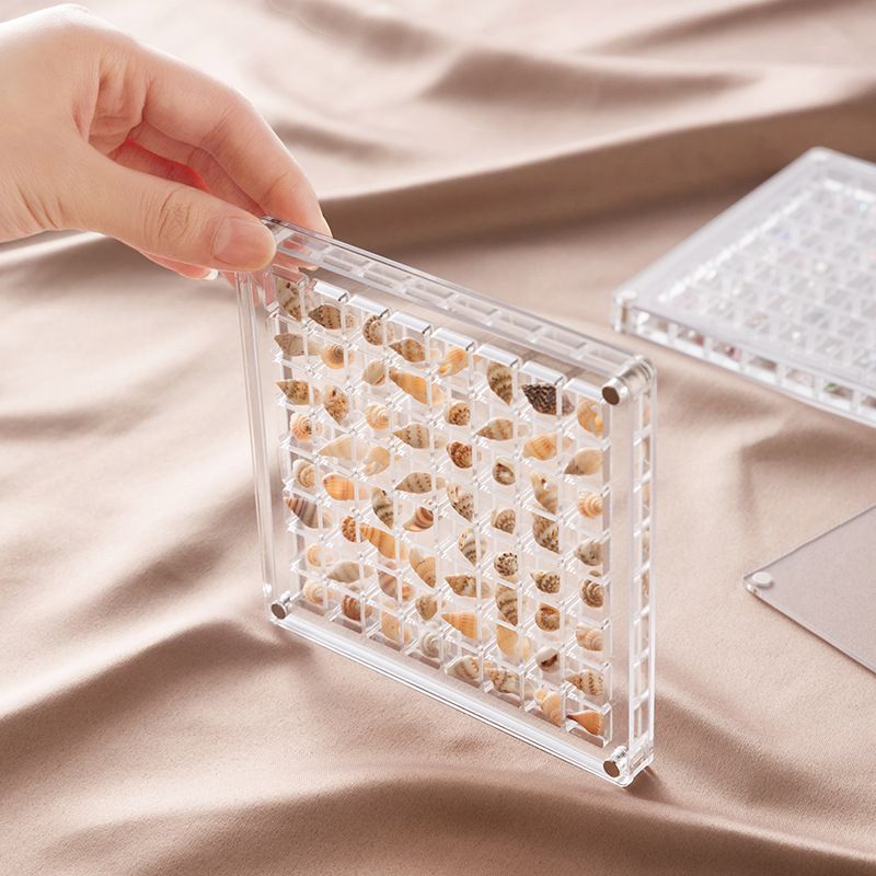 Acrylic Magnetic Seashell Display Box