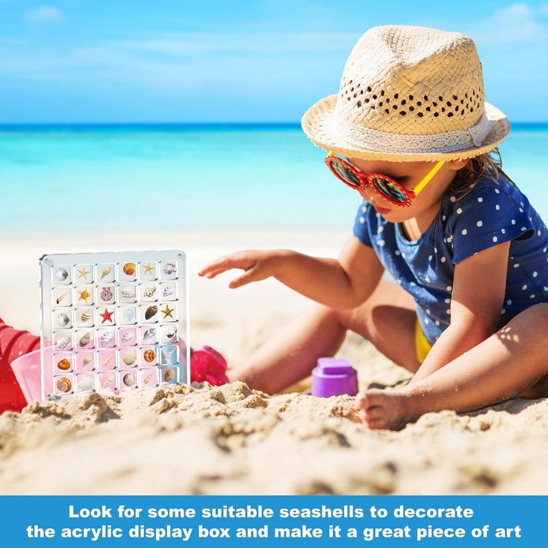 Acrylic Magnetic Seashell Display Box