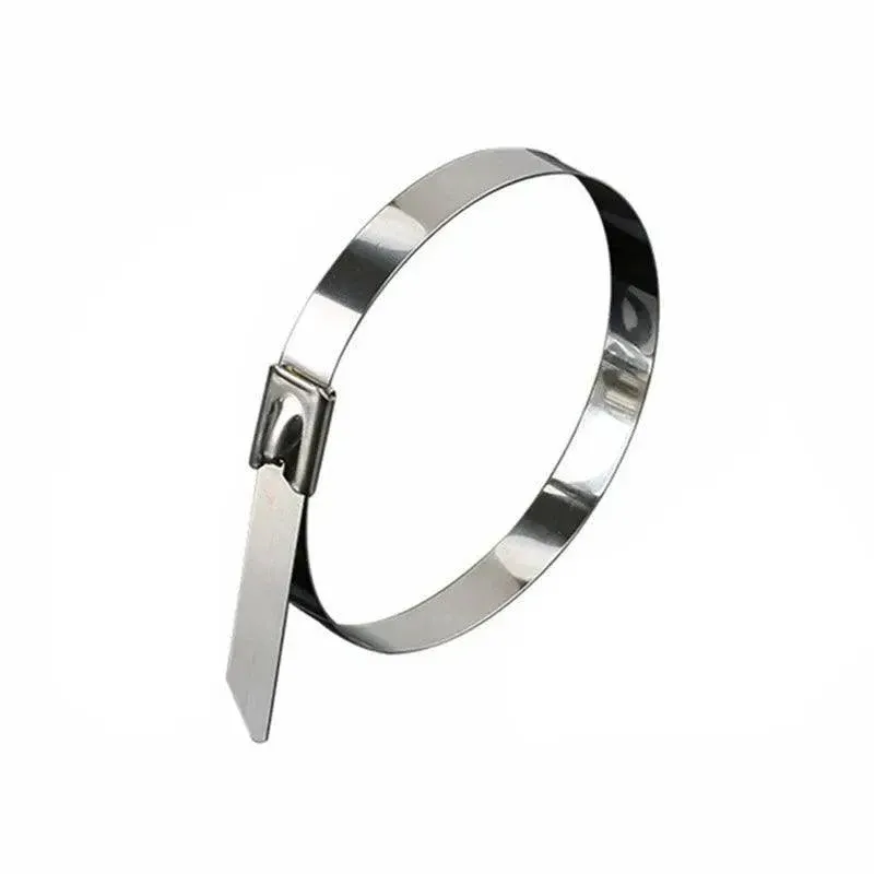 20X Stainless Steel Cable Ties S304 Marine Grade Zip Strap Locking Wrap 100-800Mm - 4.6x300mm