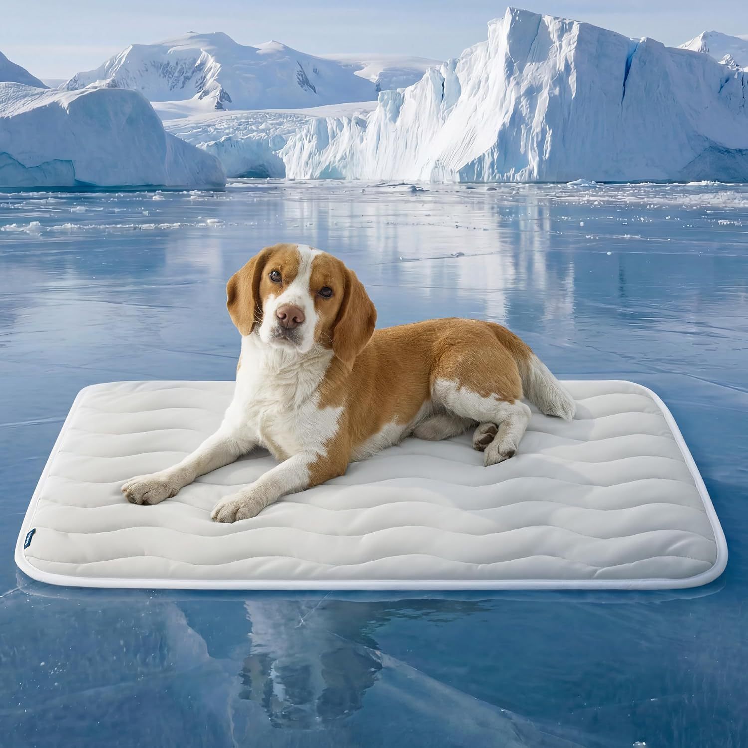 150 x 101 CM Grey Premium Wave Quiltied Pet Cooling Mat - Washable Self-Cooling Blanket with Anti-Stick Hair Surface & Non-Slip Base for Cats Dogs and Human Versatile Use