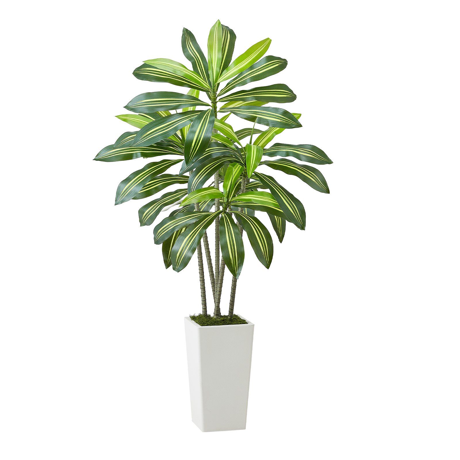 Artificial Dracaena Tree 1524 mm, Fake Palm Tropical Plants with White Tall Planter, Faux Floor Silk Plant in Pot, Large Trees for Home Office Living Room Decor House Warming, Indoor Outdoor